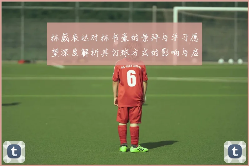 林葳表达对林书豪的崇拜与学习愿望深度解析其打球方式的影响与启发